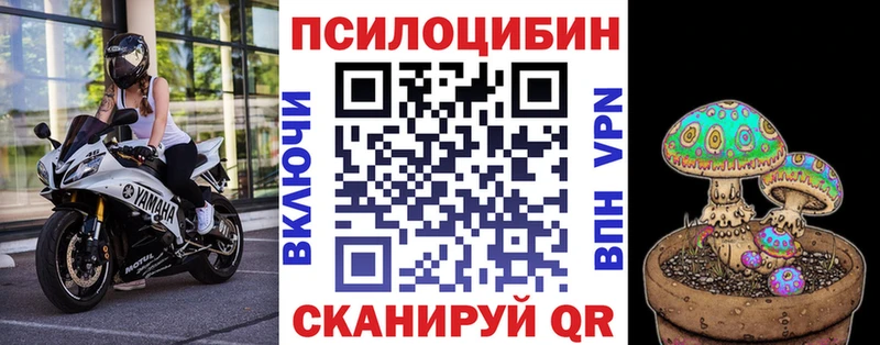 Псилоцибиновые грибы Magic Shrooms  купить   Бавлы 